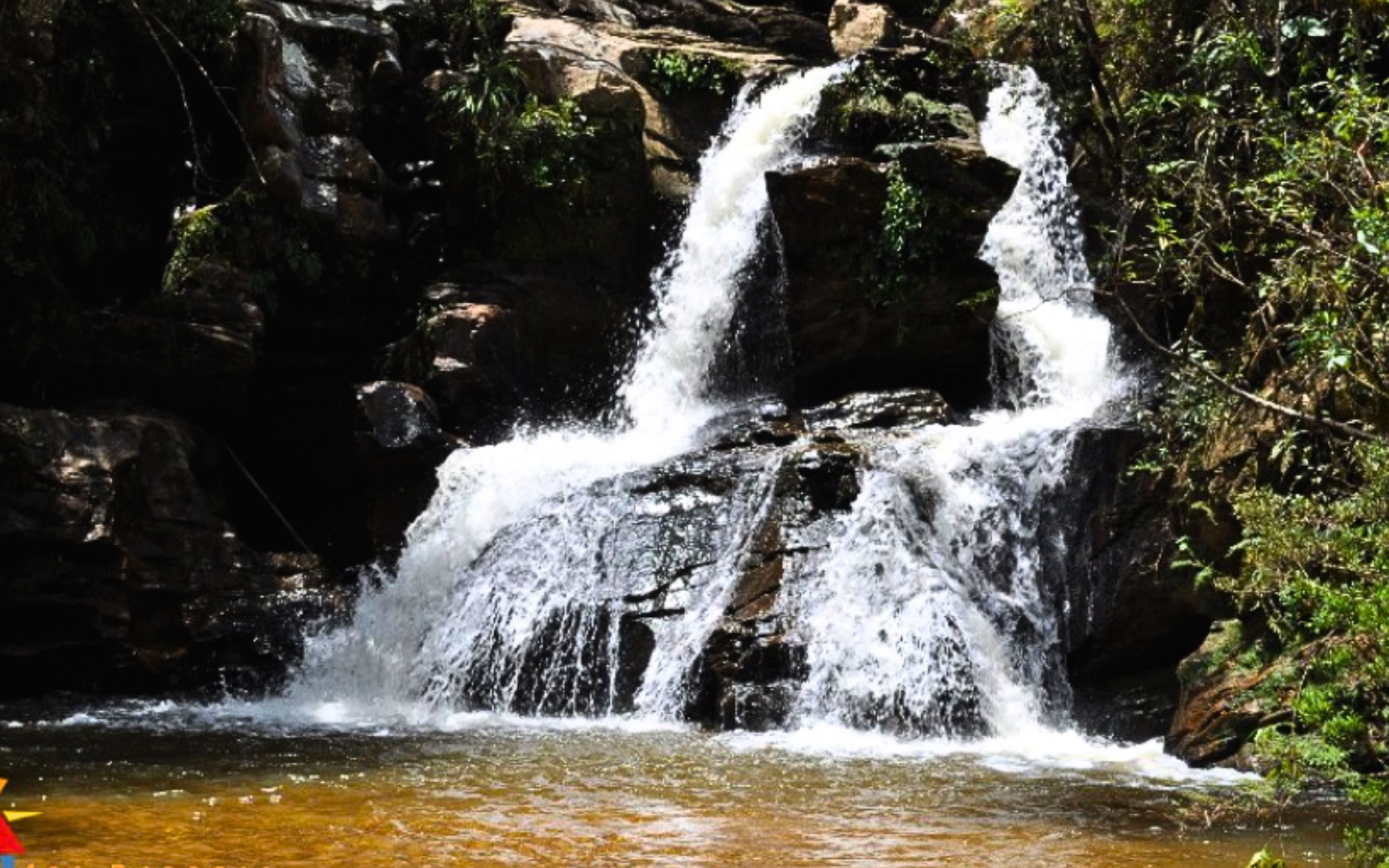 Design sem nome (18)